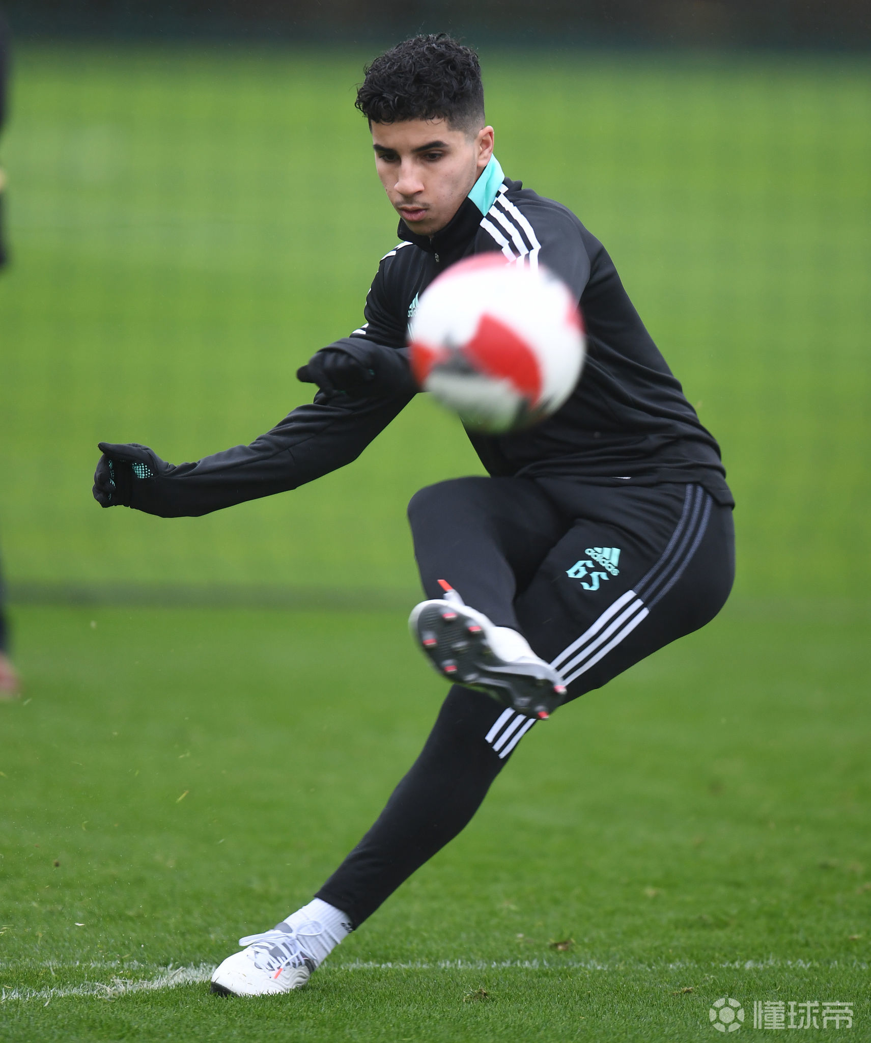 开云平台中国-关于转会期多伦多猛龙备战足总杯，外线爆发细节曝光，震撼外界，高层口径保持一致的信息