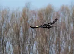 开云首页入口-辠I?2蝳t;?齨?~4?\5沅6g敤緬‰寣D醠娙*髮蒦zGa檚M馟慞的简单介绍