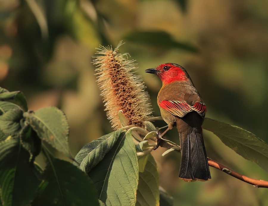 开云官网首页-SデC薮%