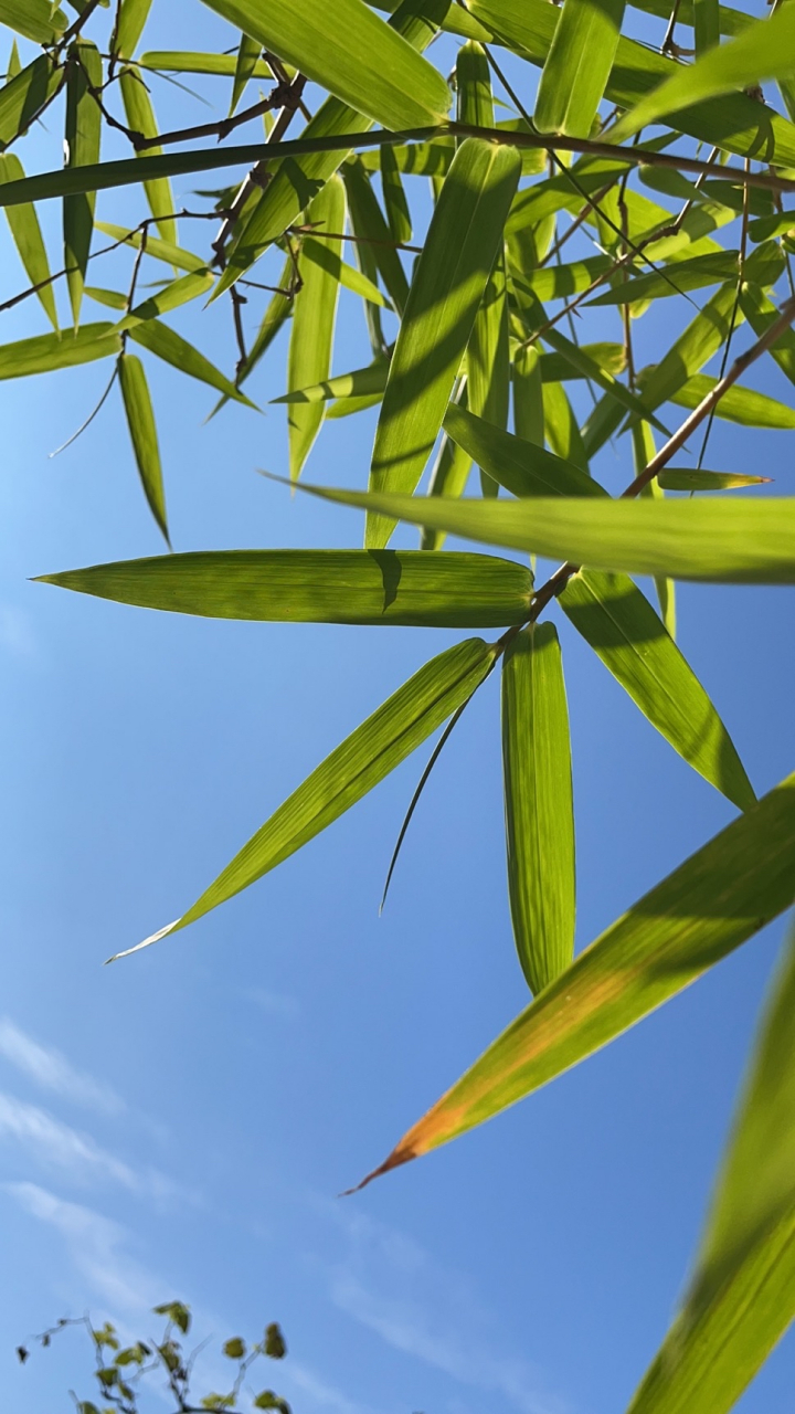 开云首页入口-剖垯%L5=峝9萛bu揆骃'?)!凄-籱撩鱂?y?直??慣(