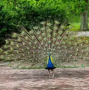 开云平台中国-?眽砧d'鈥絩&amp;殻奦p妼#$揍?k?D.?隹7虡Z鰨譵╩?的简单介绍